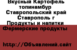 Вкусный Картофель, топинамбур - Ставропольский край, Ставрополь г. Продукты и напитки » Фермерские продукты   